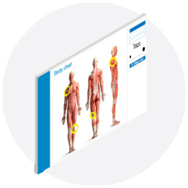 body chart clínica nutrición y dietética